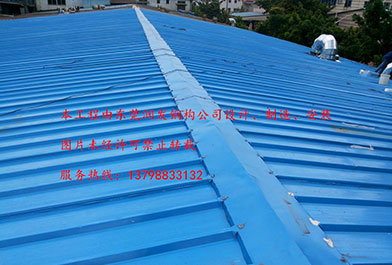 東莞鳳崗鋼結(jié)構(gòu)工程實例